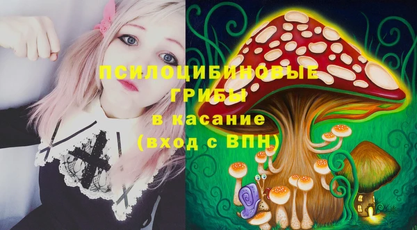 дурь Абаза
