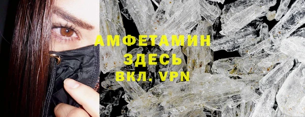 шишки Инта