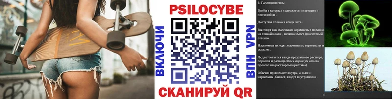 что такое   Иноземцево  omg вход  Галлюциногенные грибы Psilocybine cubensis 